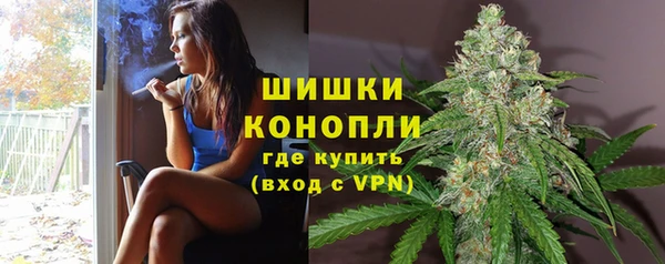 эйфоретик Гатчина