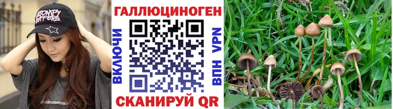 Псилоцибиновые грибы мухоморы  Заозёрный 